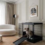 Modern black cage dog crate with ramp entry