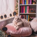 female cat names