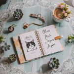 male cat names
