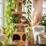 cat climbing wall ideas Vertical garden cat tower