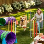 dog enrichment ideas Set up a backyard agility course