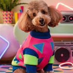 dog sweater ideas Retro 80s neon colors and geometric shapes