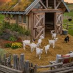 Goat barn ideas Eco friendly barn using sustainable materials