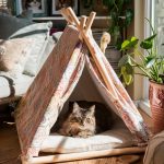 diy cat house Pet tent from a tablecloth