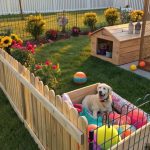 diy dog run cheap Use fencing from local classifieds online