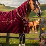 pretty horses Luxury horse blankets with personalized embroidery