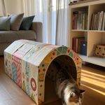 cat crafts Handmade Cat Tunnels with Cardboard Boxes