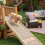 dog ramp designs Multi functional ramp for play and access