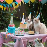 cat birthday party ideas Party hats for all furry guests