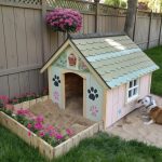 dog digging area Undercover doghouse digging area