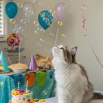 cat themed birthday party Scented catnip bubble party fun