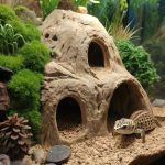 leopard gecko terrarium ideas Cave setup with hiding spots