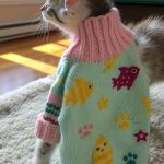 diy kitten clothes Knitted sweaters with fun patterns