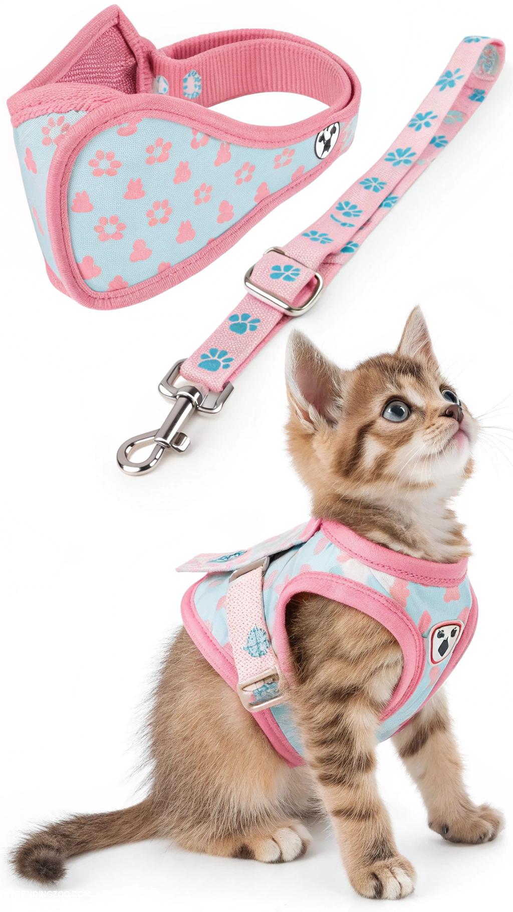 diy kitten harness Convertible harness and leash combo design