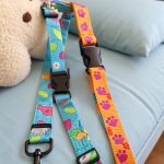 diy kitten harness Velcro and clip hybrid harness for easy fit