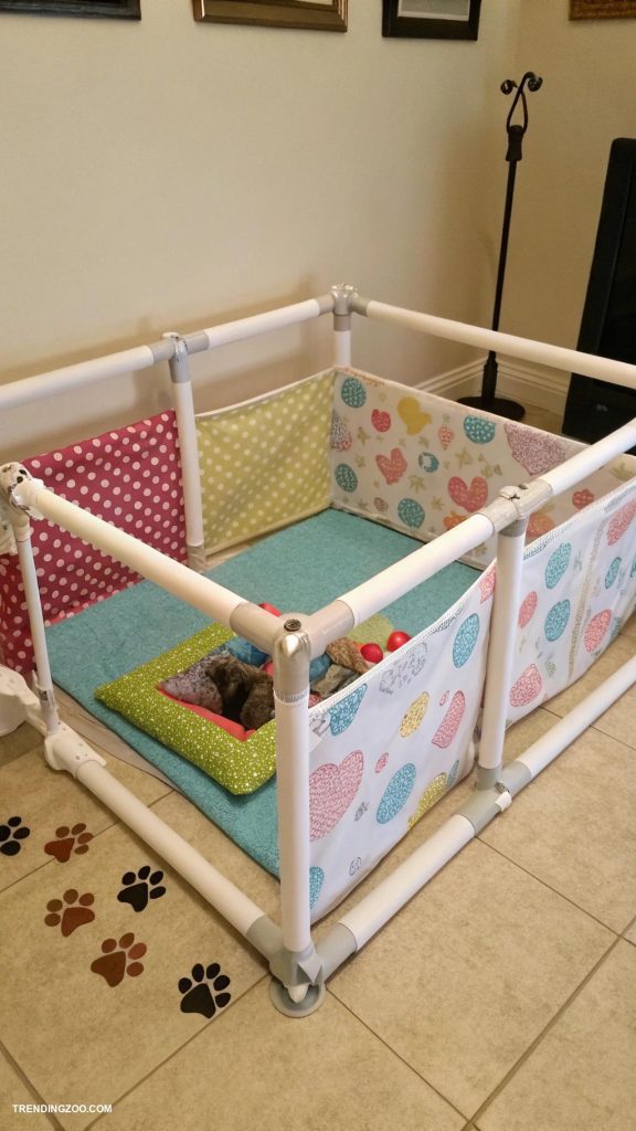 diy kitten playpen PVC pipe structure with quilted padding