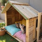 diy kitten house Pallet wood shelter with soft cushions