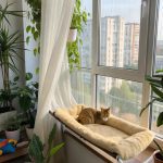 cat set up in apartment Cozy window perch for sunbathing