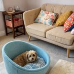 puppy room ideas Themed dog beds inspired by furniture