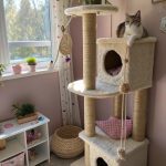 small cat friendly bedroom ideas Corner cat castle with scratching posts