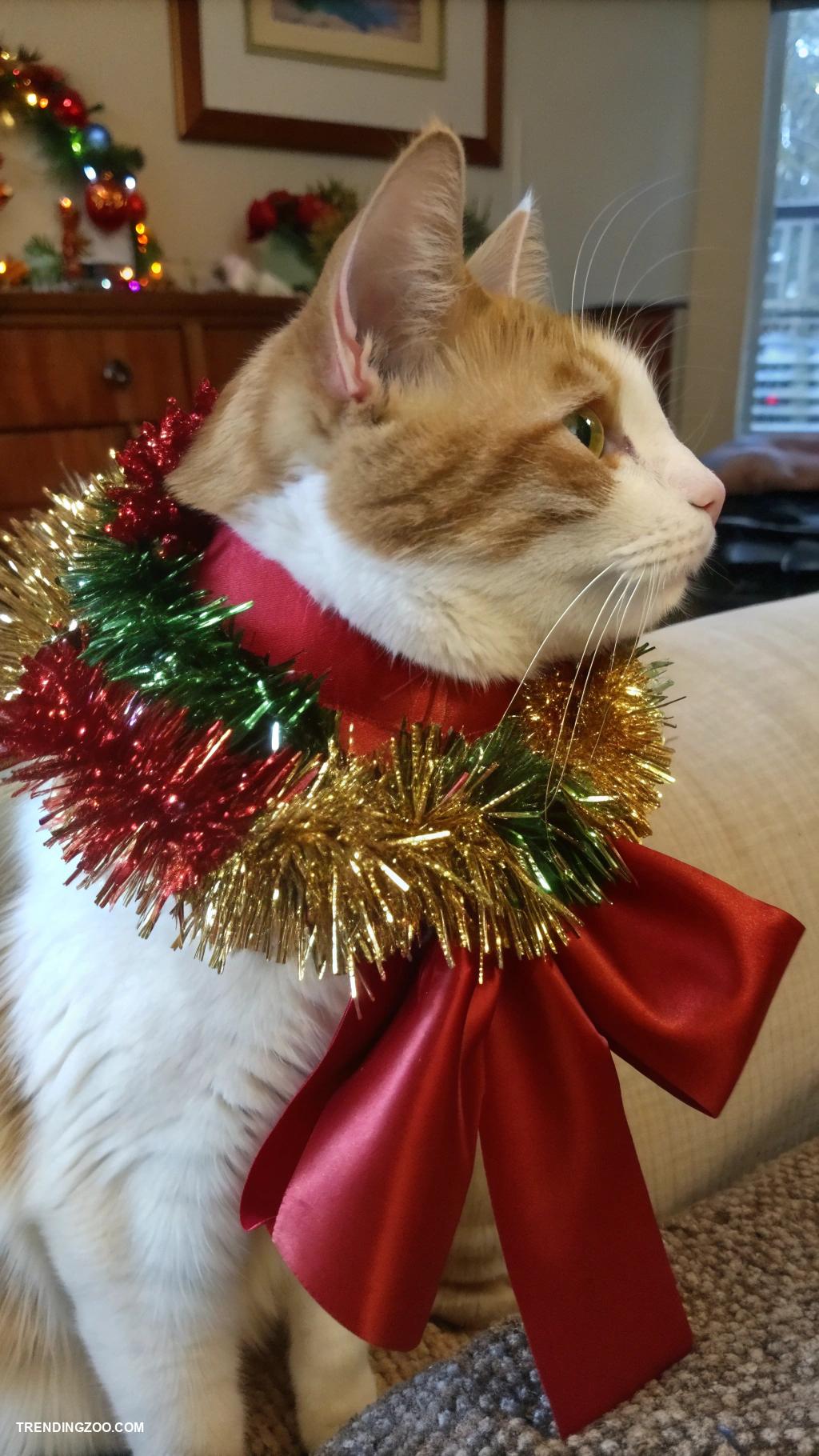 christmas cat outfits Tinsel covered collar with bow