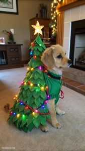 christmas puppy outfits Christmas tree costume with lights