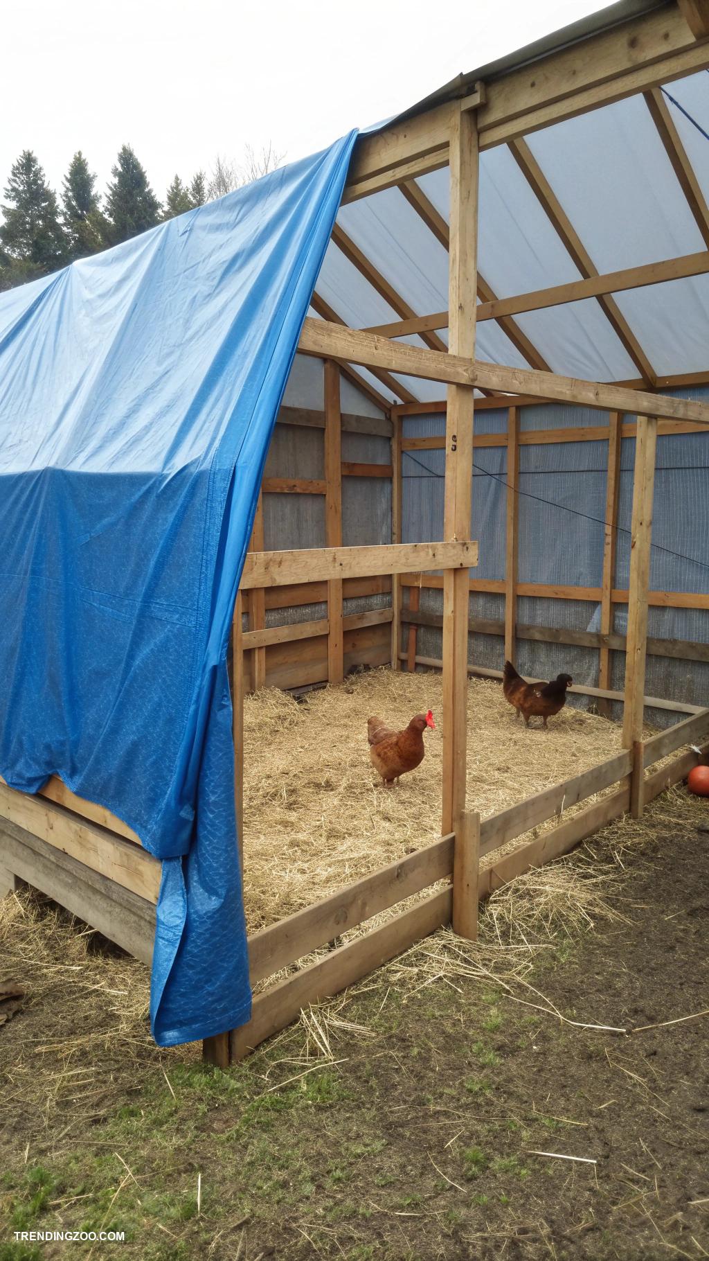 diy chicken pen ideas Simple tarp covered shelter for protection