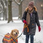 dog coats for winter