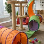 indoor cat playground ideas Tunnels for hiding and chasing