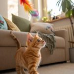 interactive cat toys