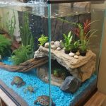 turtle terrarium ideas Aquatic themed terrarium with water features