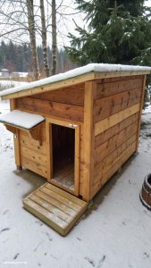 winter cat shelter ideas Insulated wooden shelters with raised platforms