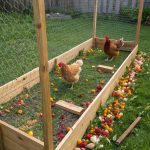 cheap chicken run ideas Build a chicken run from chicken wire