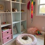 convert closet to cat room Add toys for interactive playtime fun