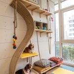 dog playroom Wall mounted climbing shelves for adventurous dogs