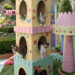 kitty castle Interactive castle with holes for playful exploration
