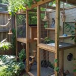 cat habitat Outdoor catio with climbing shelves