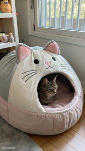 giant cat shaped beds Giant cat bed with removable washable cover
