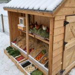 winterizing chicken coop Offer extra food for energy
