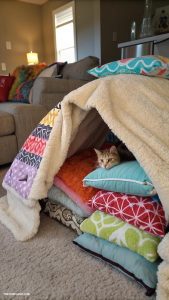 diy cat cave Pillow fort with soft inside lining