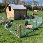 diy pig pens Temporary fencing with snow fencing