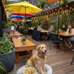 dog eating area Doggy dining experiences at local restaurants