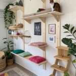indoor cat room Interactive climbing shelves on walls