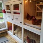 interior chicken coop ideas Divide space for different chicken breeds