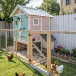 small chicken coops Fenced run attached for outdoor freedom