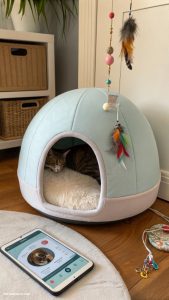 cat pod ideas Interactive cat pod with toy features
