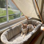 cat window bed ideas Convertible cat bed with sunshade feature