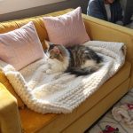 diy cat sofa bed Sew a cozy blanket into a sofa