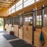 diy horse stall ideas Create a shared stall for multiple horses