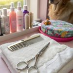 dog grooming scissors
